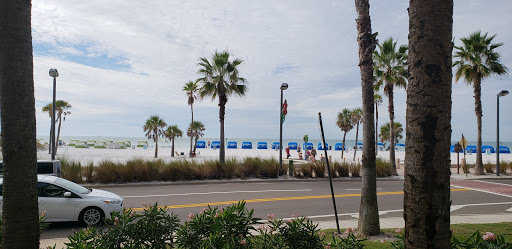 Pet Supply Store «Island Dog Outfitters», reviews and photos, 479 Poinsettia Ave, Clearwater Beach, FL 33767, USA