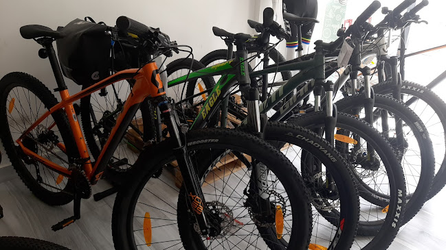 Opiniones de Free Cycles en Ambato - Tienda de bicicletas