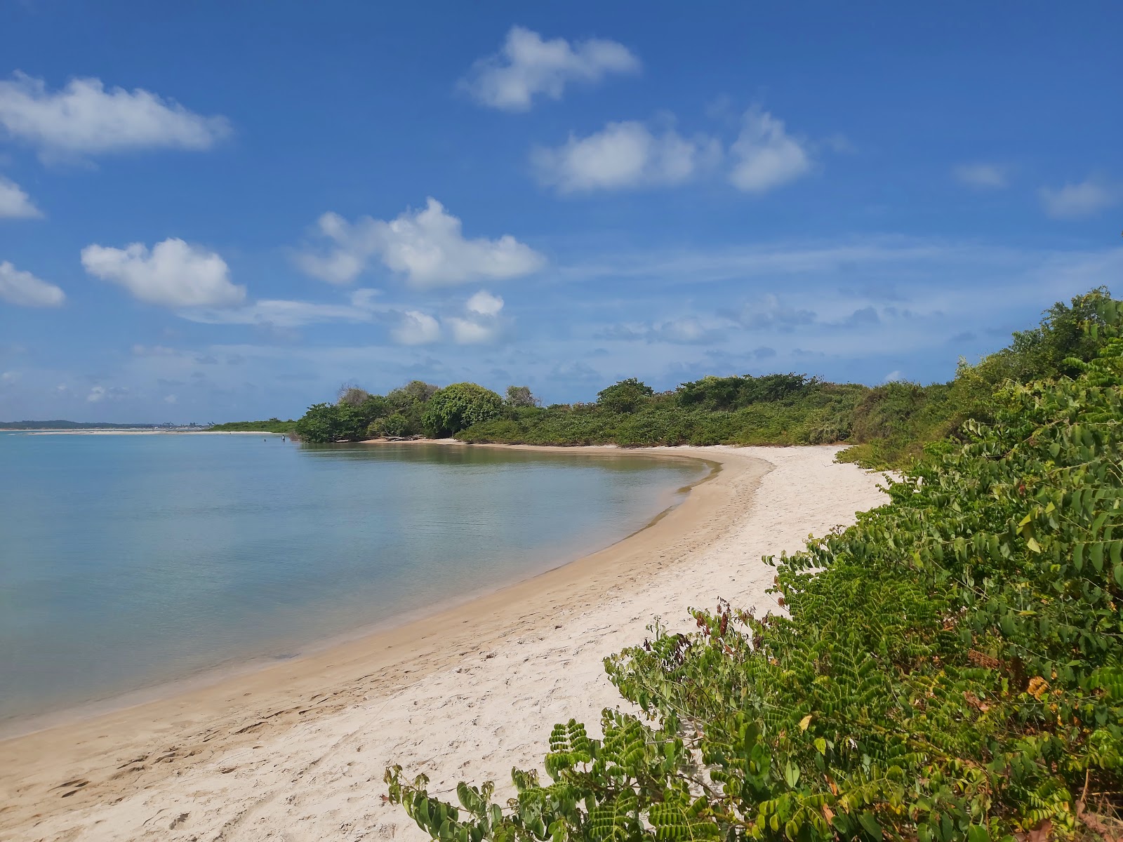 Foto van Strand van Rio Mamanguape met turquoise puur water oppervlakte