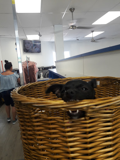Laundromat «24/7 Laundry», reviews and photos, 11108 Whittier Blvd, Whittier, CA 90606, USA