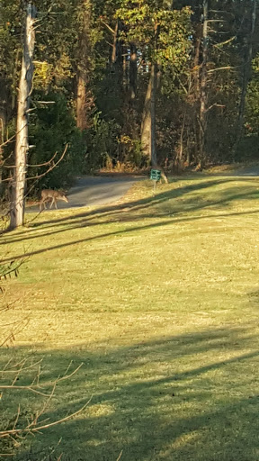 Golf Course «My Old Kentucky Home Golf Course», reviews and photos, 668 Loretto Rd, Bardstown, KY 40004, USA