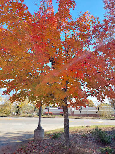 Post Office «United States Postal Service», reviews and photos, 2100 Lake Dam Rd, Raleigh, NC 27606, USA