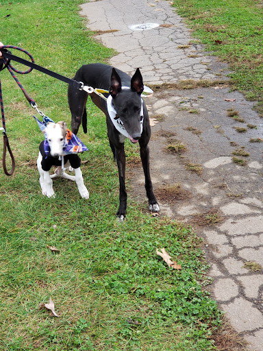 Park «Eisenhower Park», reviews and photos, 780 North St, Milford, CT 06461, USA