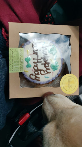 Pet Store «District Dog - A General Store for Pets», reviews and photos, 142 Driggs Ave, Brooklyn, NY 11222, USA