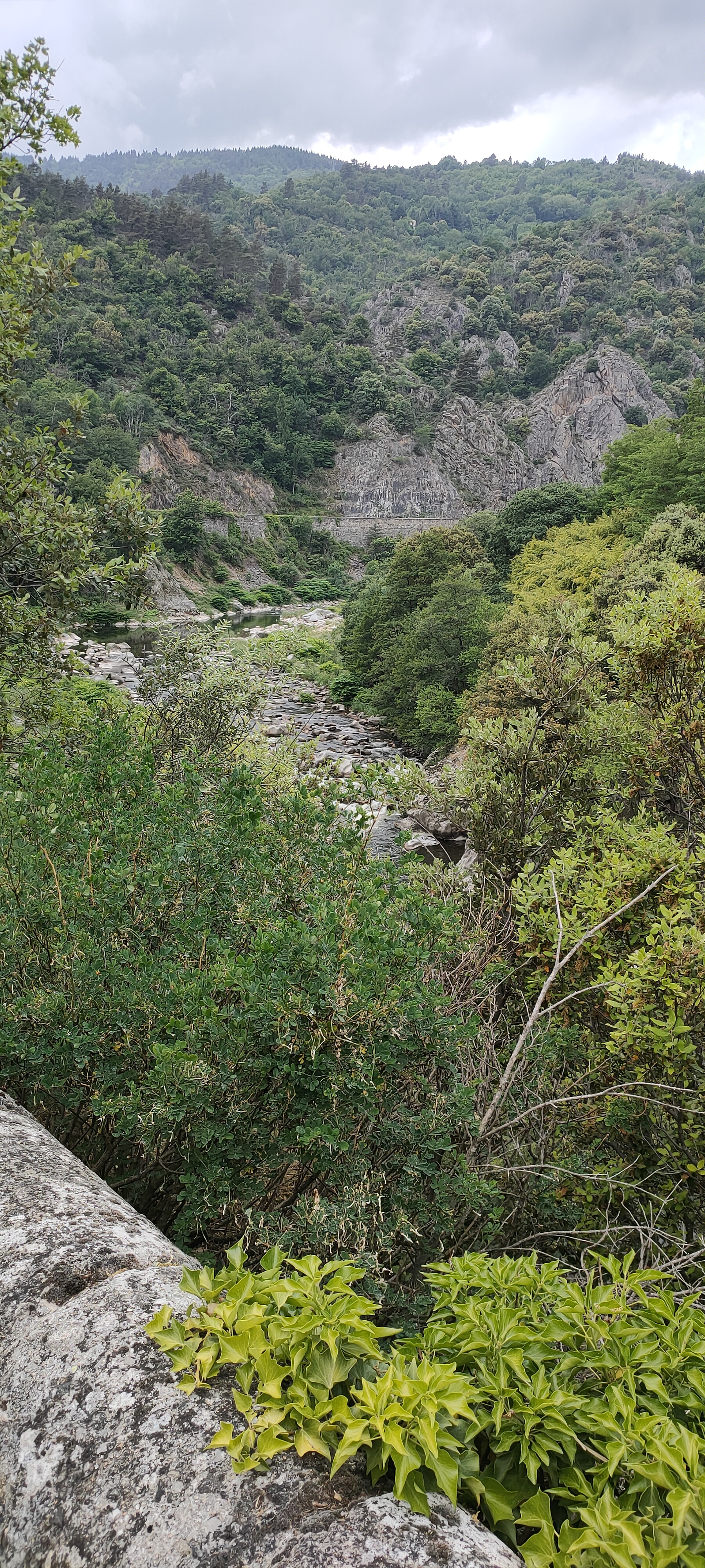 Photo n° 3 de l'avis de daniel.A fait le 23/05/2022 à 18:27