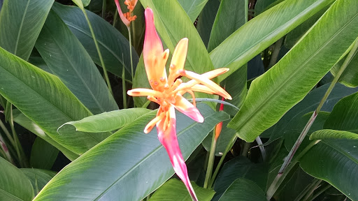 Botanical Garden «Phipps Conservatory and Botanical Gardens», reviews and photos, 1 Schenley Drive, Pittsburgh, PA 15213, USA