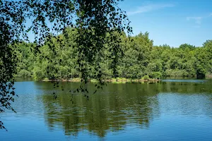 Berumerfehner Moor image