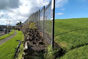 Earnslaw Park image