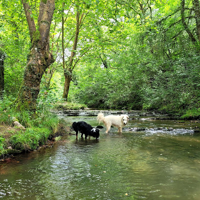 Pont du chemin de Zorribenta à Saint-Pée-sur-Nivelle