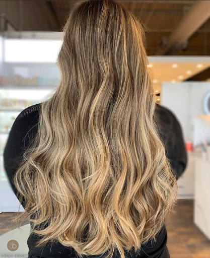 Beauty Salon «Salon Bliss», reviews and photos, 1126 S Rochester Rd, Rochester Hills, MI 48307, USA