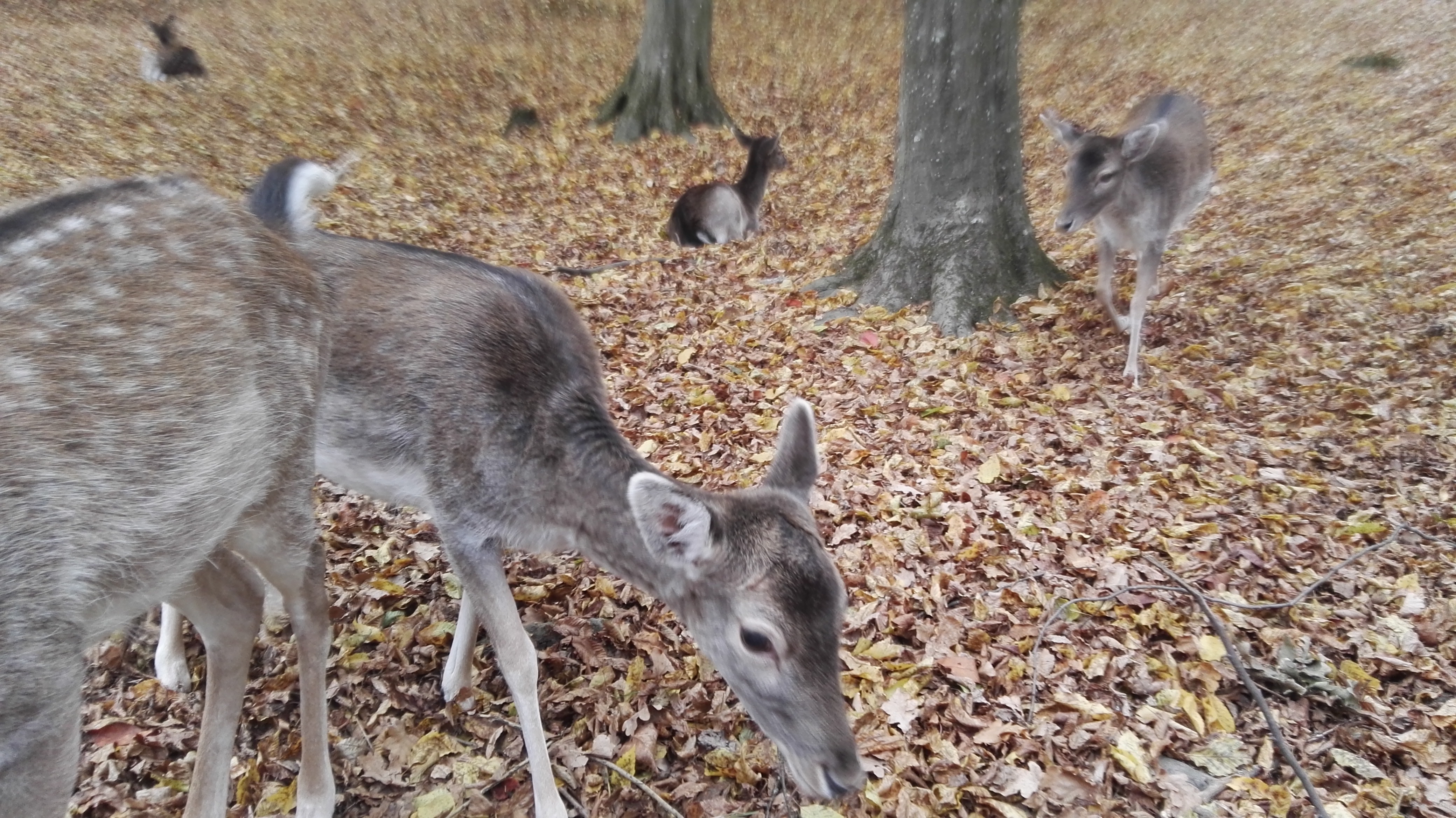 Photo n° 1 de l'avis de Lise.o fait le 07/11/2018 à 19:03