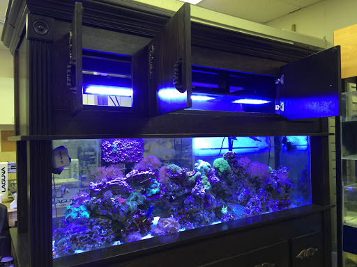 Tropical Fish Store «Hooked On Reefs», reviews and photos, 228 Hibiscus St #1, Jupiter, FL 33458, USA