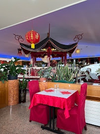 Atmosphère du Restaurant chinois New Chinatown à Sainte-Marie-des-Champs - n°10