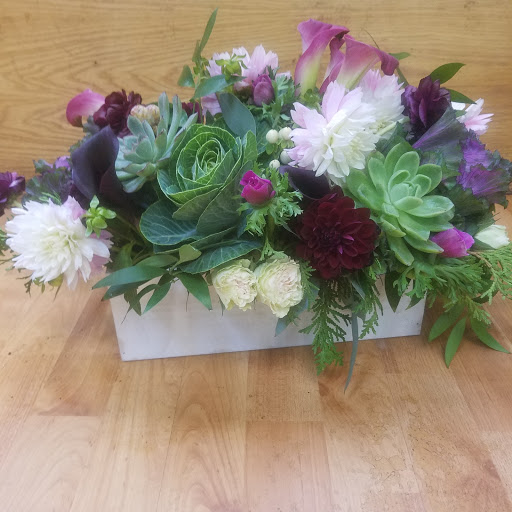Florist «Alborada Florist», reviews and photos, 17 Huguenot St, New Rochelle, NY 10801, USA
