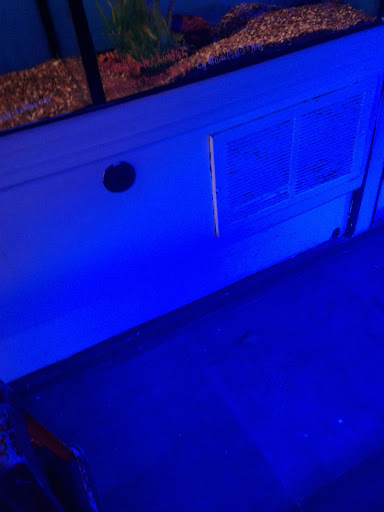 Tropical Fish Store «Scranton Aquarium», reviews and photos, 1819 Sanderson Ave, Scranton, PA 18509, USA