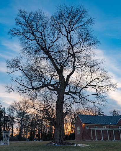 Museum «Montpelier Mansion», reviews and photos, 9650 Muirkirk Rd, Laurel, MD 20708, USA
