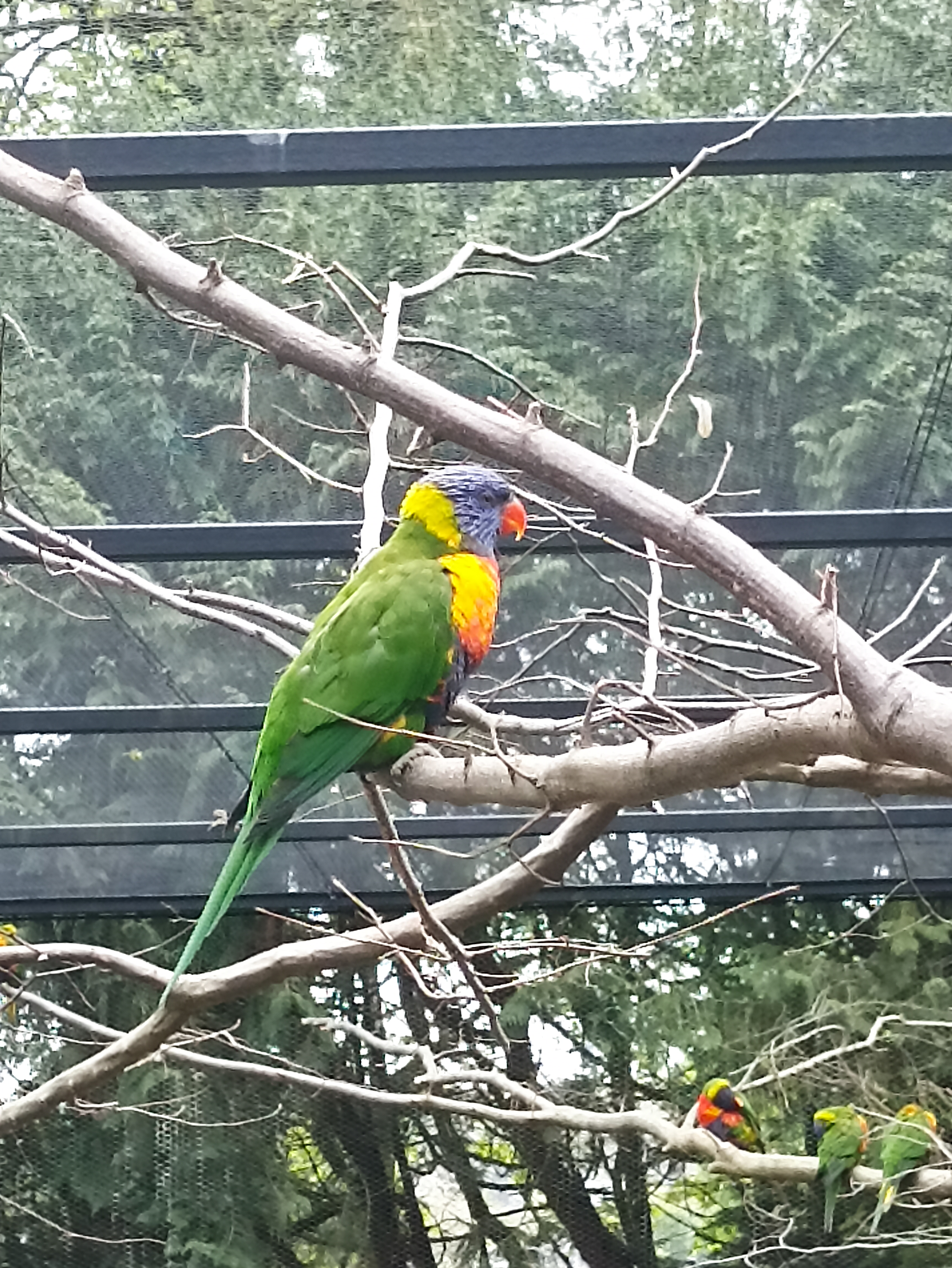 Photo n° 4 de l'avis de INGRID.. fait le 01/05/2023 à 21:03