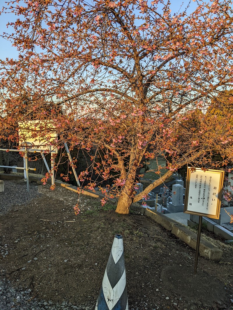 玉雲寺