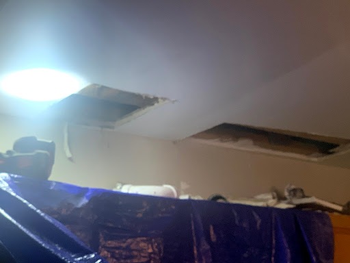 Plumber «Roto-Rooter Plumbing & Drain Service», reviews and photos, 1750 Finley Rd, Lombard, IL 60148, USA