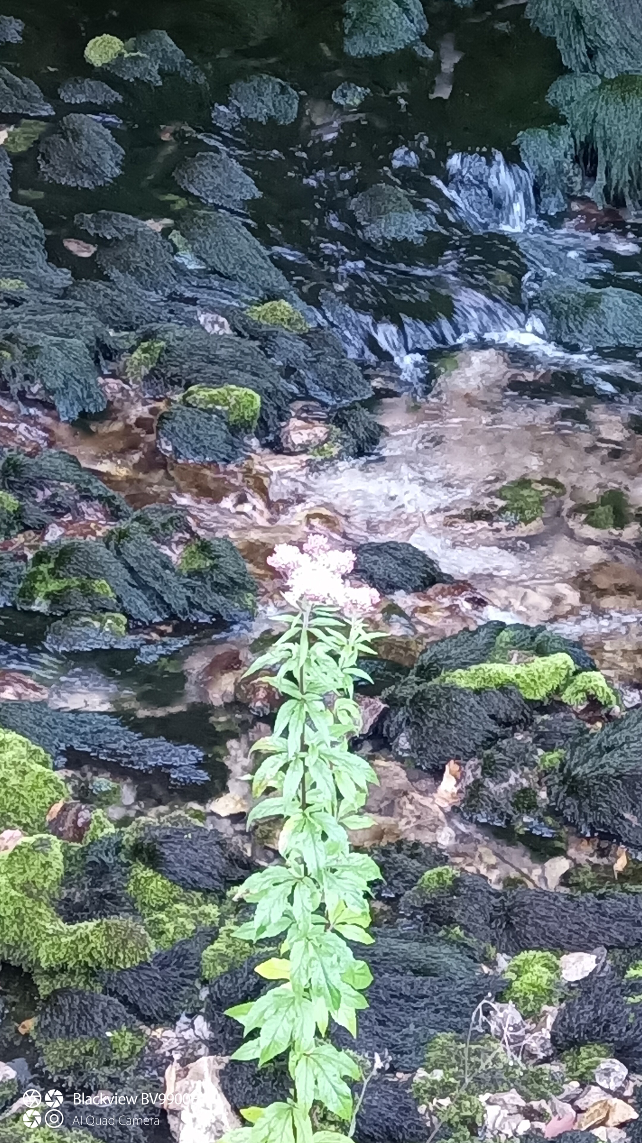 Photo n° 2 de l'avis de scual.i fait le 31/07/2022 à 18:46