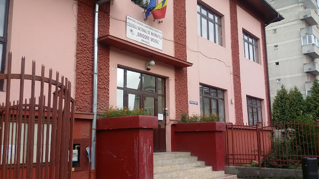 Colegiul Național de Informatică „Grigore Moisil” Brașov - <nil>