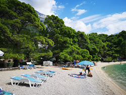Photo de Plage de Punta Rata et le règlement