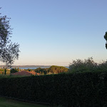 Photo n°2 de l'avis de Alessio.i fait le 07/08/2021 à 17:45 sur le  Ristorante Tenuta Possesso à Trevignano Romano