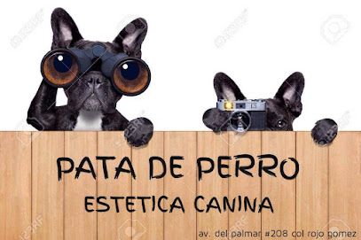 Pata De Perro