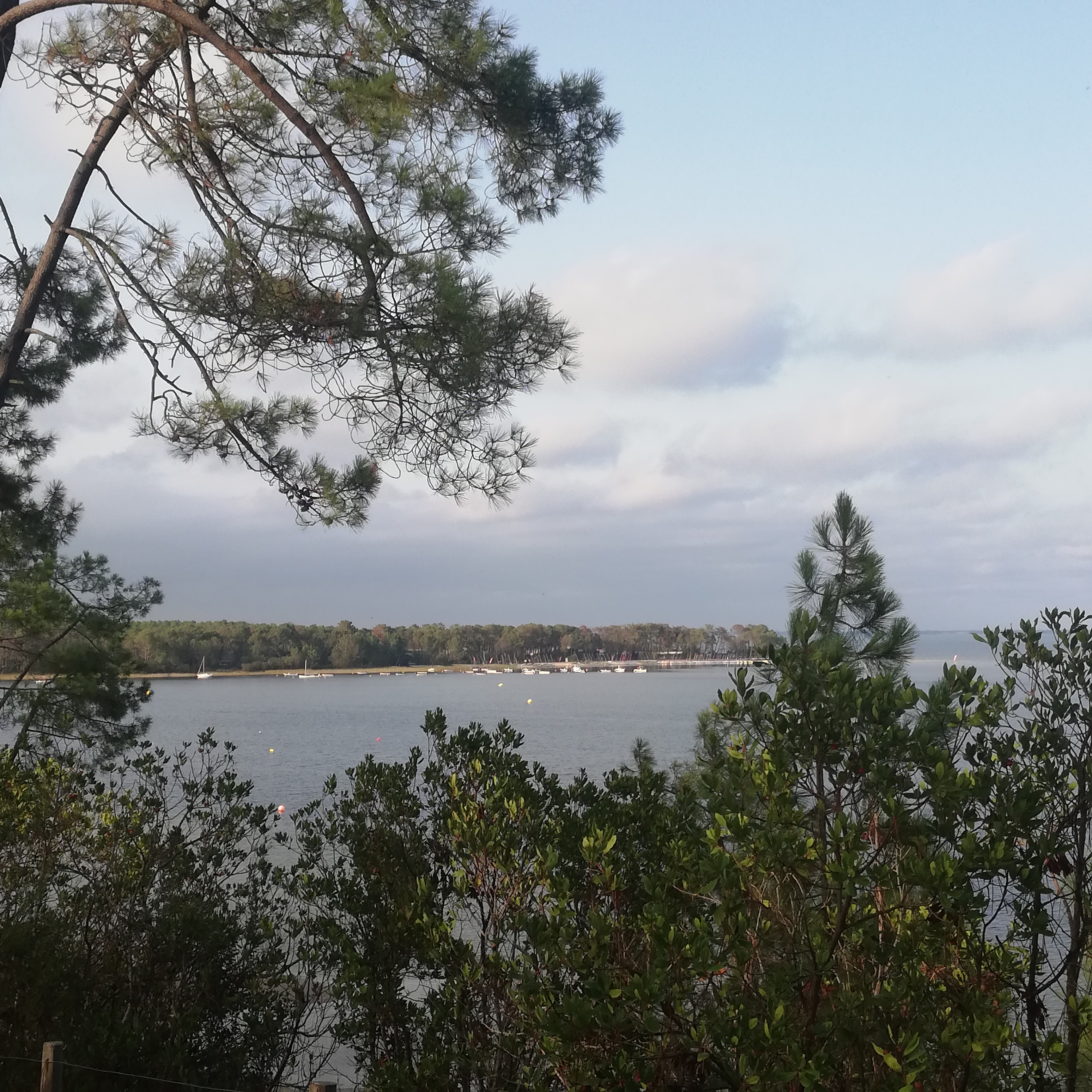 Photo n° 3 de l'avis de piot.a fait le 17/10/2022 à 08:57