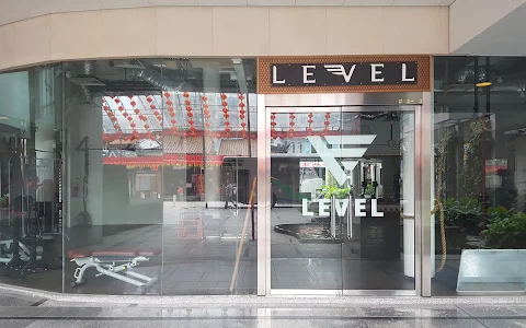 Level image