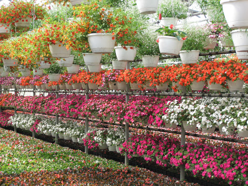 Tomasovic Greenhouse & Nursery