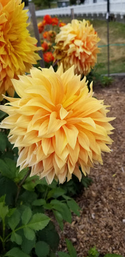 Canoe & Kayak Store «Olympic Outdoor Center», reviews and photos, 32379 N Rainier Ave, Port Gamble, WA 98364, USA