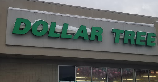 Dollar Store «Dollar Tree», reviews and photos, 30887 Orchard Lake Rd, Farmington Hills, MI 48334, USA