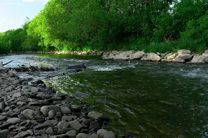 Scio DEC Fishing Access Genesee River Wilds River Access image