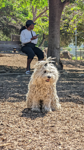 Park «Ohlone Park», reviews and photos, Milvia St, Berkeley, CA 94704, USA