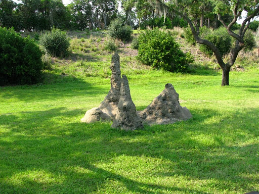 Theme Park «Epcot», reviews and photos, 200 Epcot Center Dr, Orlando, FL 32821, USA