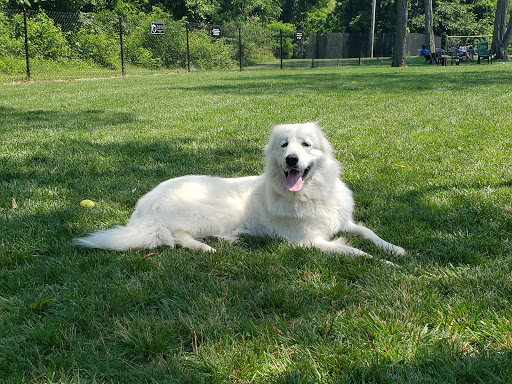 Dog Park «Portsmouth RI Dog Park», reviews and photos, 77 Bradford Ave, Portsmouth, RI 02871, USA