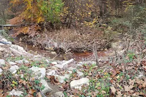 Wayne National Forest - Athens Ranger District - Athens Unit image