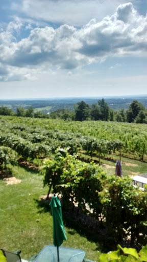 Winery «Four Friends Vinyard & Winery», reviews and photos, 574 Cemetery Hill Rd, Montgomery, PA 17752, USA