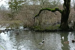 Duck Island image