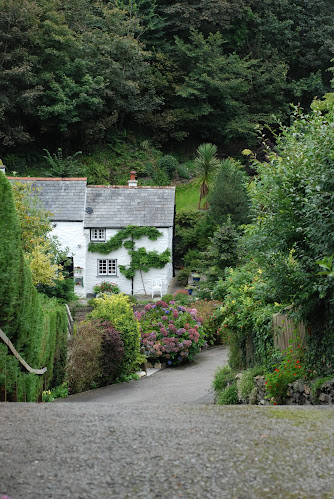 Értékelések erről a helyről: Kerti Borcsi - Fotós, Csongrád-Csanád - Fényképész