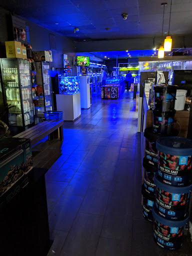 Tropical Fish Store «Manhattan Aquariums», reviews and photos, 522 W 37th St, New York, NY 10018, USA
