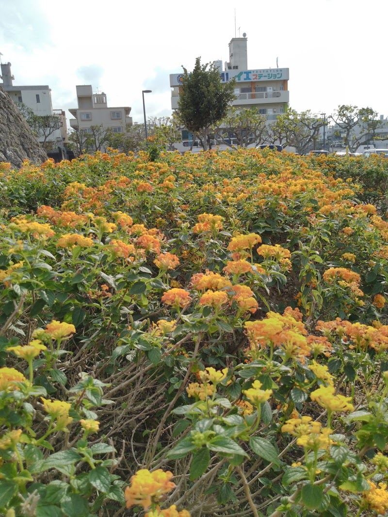 浦添美術館 駐車場