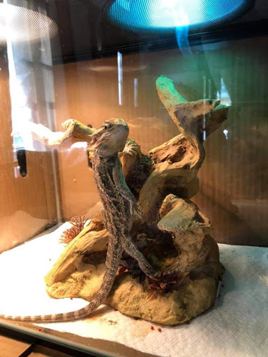 Pet Supply Store «Pet Finatics», reviews and photos, 3150 Navarre Ave, Oregon, OH 43616, USA