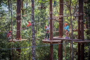 Treetops Adventure Coffs Harbour image