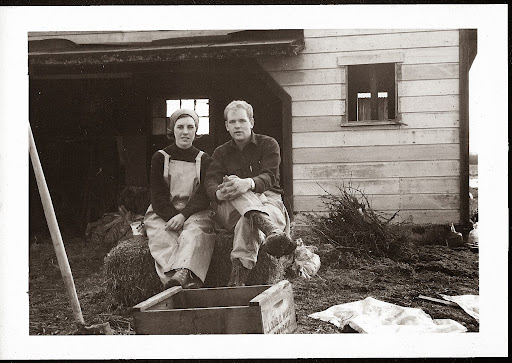 Winery «The Eyrie Vineyards», reviews and photos, 935 NE 10th Ave, McMinnville, OR 97128, USA