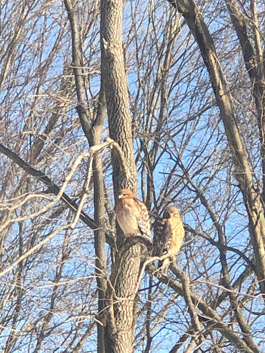 Recreation Center «Go Ape Zip Line & Treetop Adventure - Rock Creek Regional Park», reviews and photos, 6129 Needwood Lake Dr, Rockville, MD 20855, USA