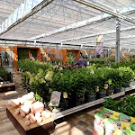 Photo n°10 de l'avis de Hartmut.o fait le 01/09/2023 à 14:08 sur le  Gartencenter Rosengut Langerwisch GmbH&Co.KG à Michendorf