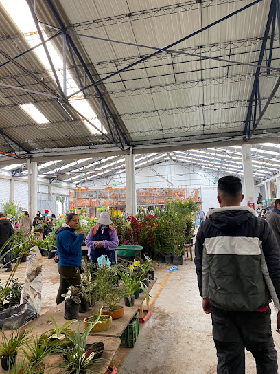 Mercado Nacional de Plantas - Flormacoop