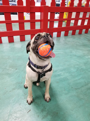  «Animal Crackers», reviews and photos, 280 NE 2nd St, Miami, FL 33132, USA